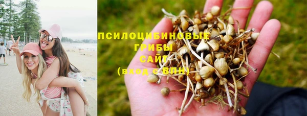 первитин Богородицк