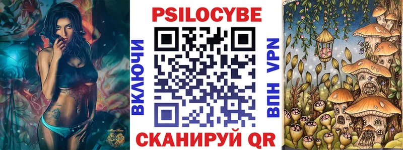 дарнет шоп  дарк нет телеграм  Псилоцибиновые грибы GOLDEN TEACHER  Духовщина 